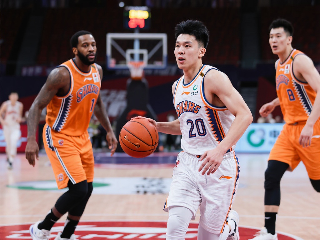 到访的游客 到访的游客