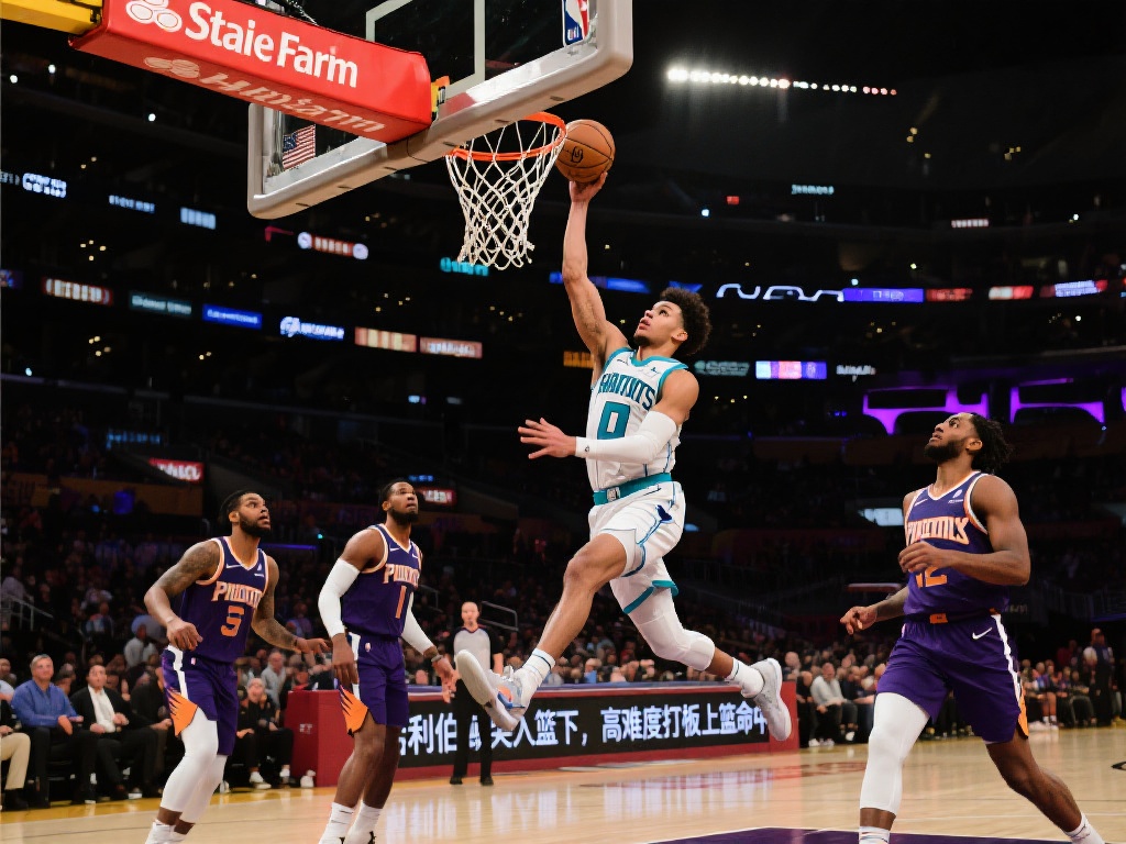 不足之处 不足之处